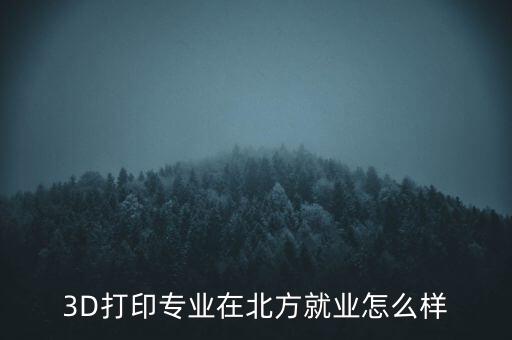 3D打印專(zhuān)業(yè)在北方就業(yè)怎么樣