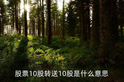 十股轉贈十股是什么意思，股票10股轉送10股是什么意思