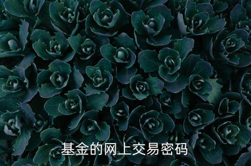 基金交易密碼是什么，基金的網(wǎng)上交易密碼