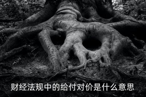 支付對價是什么意思，財經(jīng)法規(guī)中的給付對價是什么意思
