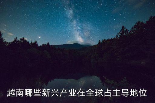 越南有什么制造業(yè)，越南哪些新興產(chǎn)業(yè)在全球占主導地位