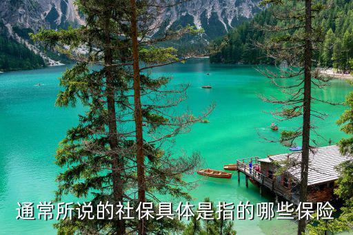 社保包括什么保險，社保具體是指的哪些保險