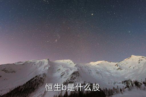 恒生b是什么股票，恒生b是什么股
