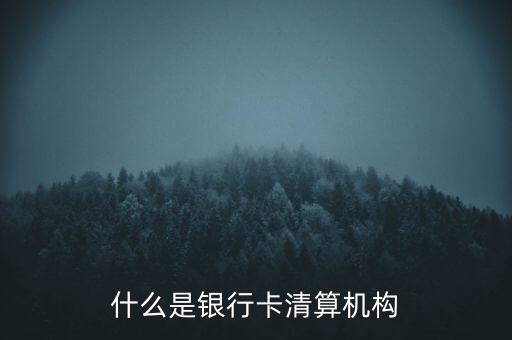同一卡組織清算機構指什么，銀行卡清算機構銀行支付機構到底有什么區(qū)