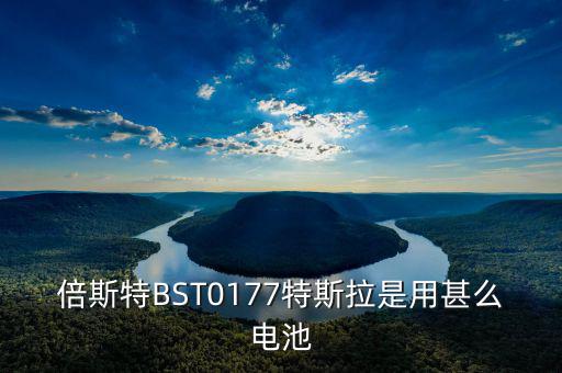 特拉斯用什么電池，倍斯特BST0177特斯拉是用甚么電池