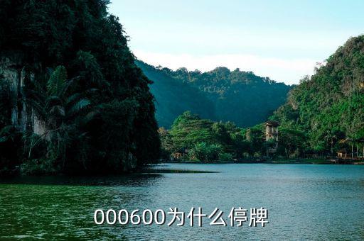 軟控股份為什么停牌，002399今天為什么停牌