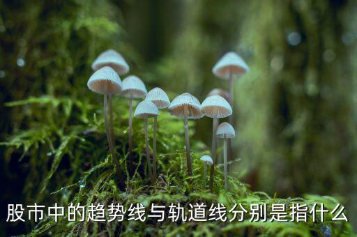 什么是股票軌道線，股票 軌道是什么
