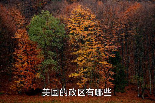 美國地方政府自治包括什么，美國的政府體制是什么