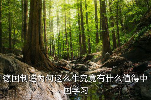 德國制造學(xué)什么，請問知情的盆友們?nèi)サ聡魧W(xué)材料加工類鑄造焊接模具
