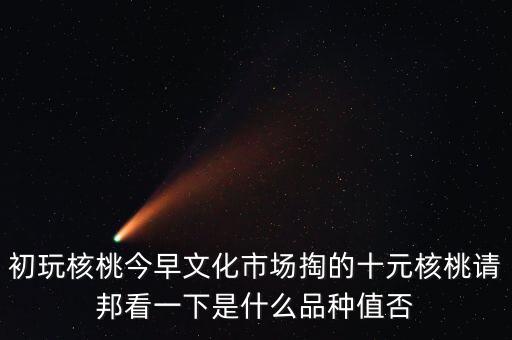 賭核桃是什么品種，請(qǐng)問我這個(gè)手玩核桃是什么品種好嗎值多錢