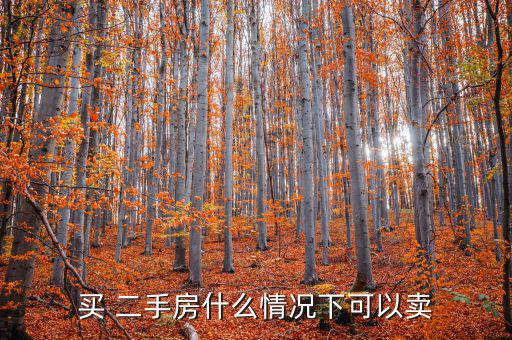 買(mǎi) 二手房什么情況下可以賣(mài)