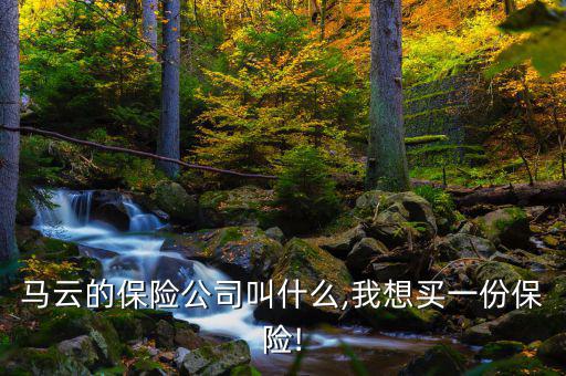 馬云的保險(xiǎn)公司叫什么,我想買(mǎi)一份保險(xiǎn)!
