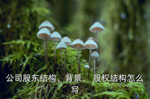 公司股東結(jié)構(gòu)、背景、 股權(quán)結(jié)構(gòu)怎么寫(xiě)
