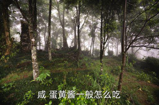 人造蛋黃醬怎么吃,蛋黃醬可用于面包沙拉、壽司等
