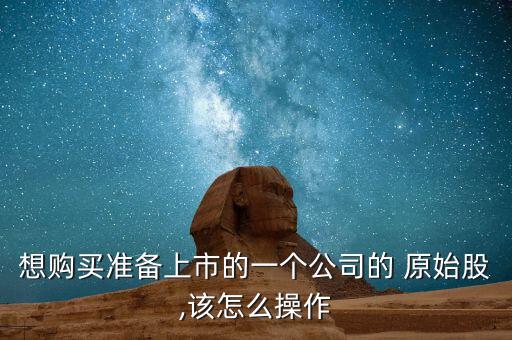 想購(gòu)買準(zhǔn)備上市的一個(gè)公司的 原始股,該怎么操作