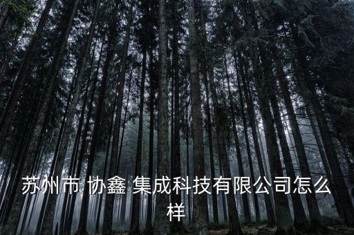 蘇州市 協鑫 集成科技有限公司怎么樣