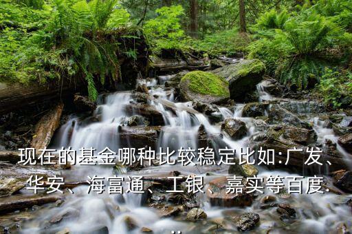 現(xiàn)在的基金哪種比較穩(wěn)定比如:廣發(fā)、 華安、海富通、工銀、嘉實(shí)等百度...