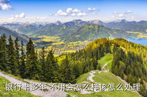 儲蓄卡不用了怎么辦,系統(tǒng)不會自動注銷農(nóng)行中行、郵政儲蓄卡