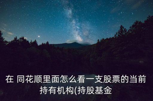 在 同花順里面怎么看一支股票的當前持有機構(gòu)(持股基金