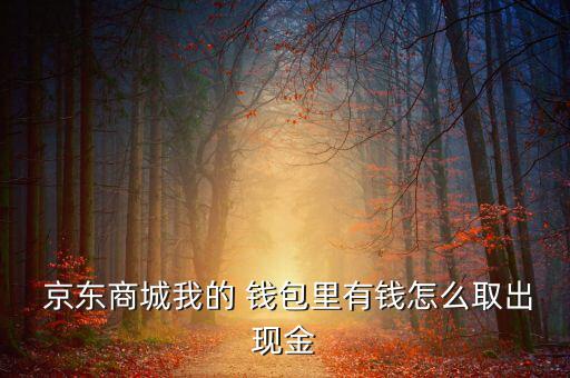 京東錢包的錢怎么提現,部分商城賬戶余額升級為京東小金庫余額