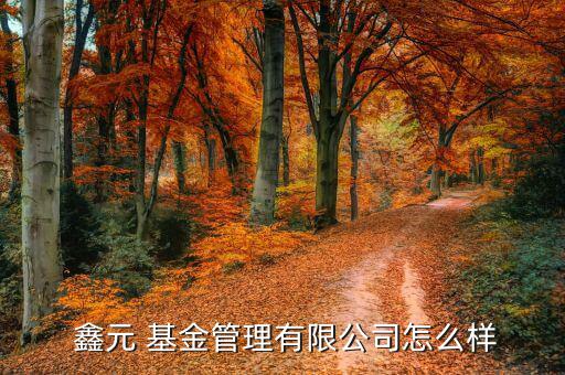 鑫元基金怎么樣,鑫元基金經(jīng)營(yíng)范圍包括基金發(fā)行、基金賣(mài)出等