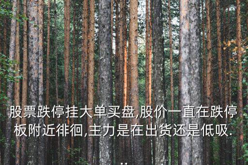 股票跌停掛大單買盤(pán),股價(jià)一直在跌停板附近徘徊,主力是在出貨還是低吸...