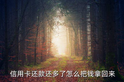  信用卡還款還多了怎么把錢(qián)拿回來(lái)