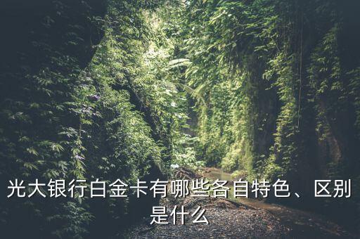 光大銀行白金卡有哪些各自特色、區(qū)別是什么