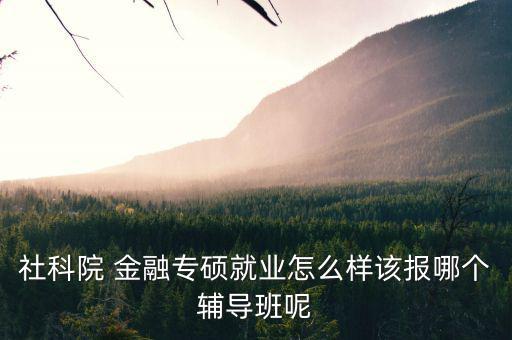 社科院 金融專(zhuān)碩就業(yè)怎么樣該報(bào)哪個(gè)輔導(dǎo)班呢