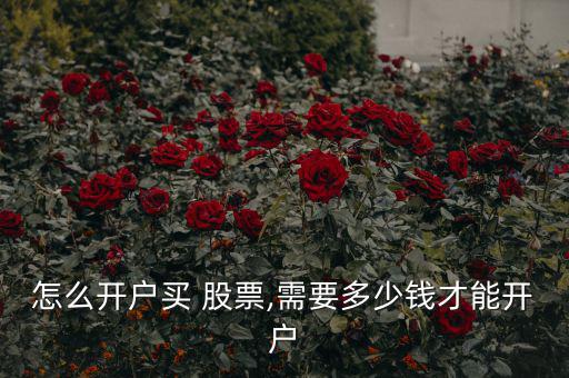 怎么開(kāi)戶買 股票,需要多少錢才能開(kāi)戶