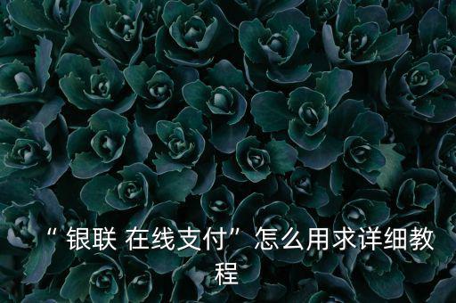 “ 銀聯(lián) 在線(xiàn)支付”怎么用求詳細(xì)教程