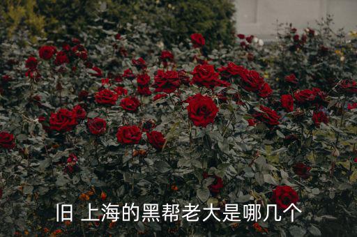 上?；バ沤鹑谠趺礃?上海五國會議機(jī)制前身是五國集團(tuán)主席