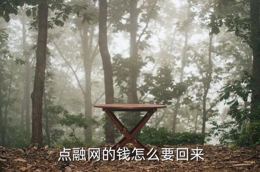 點融網的錢怎么要回來