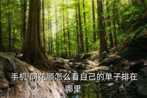 手機(jī)同花順怎么看壓?jiǎn)?同花順手機(jī)版下載更多用戶(hù)喜愛(ài)