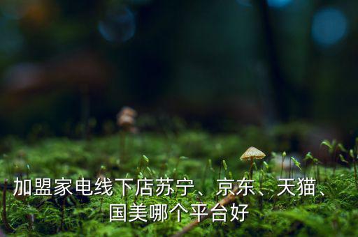 加盟家電線下店蘇寧、京東、天貓、 國美哪個平臺好