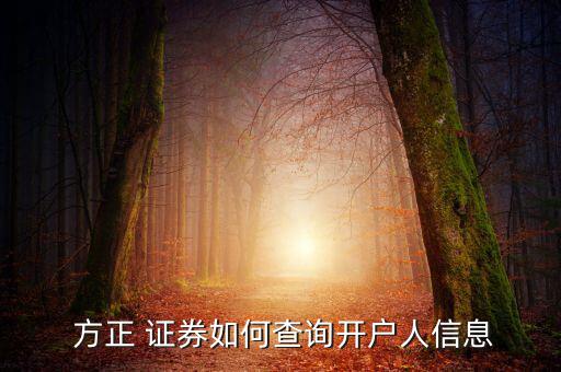 怎么查方正證券的余額,方正證券股份有限公司提供查詢(xún)服務(wù)
