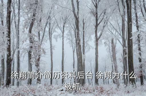 徐翔是怎么回事,徐翔、王偉、犯受賄罪被判入獄五年半