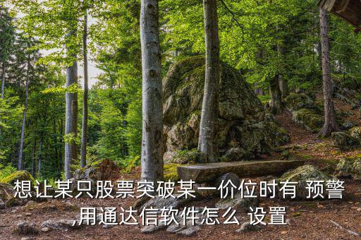 怎么設置預警大單買入,jj怎么設置抵價預警?
