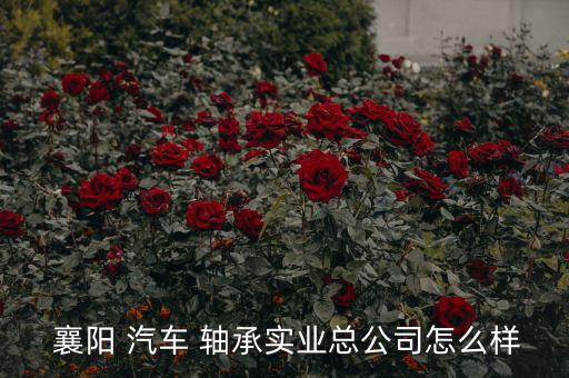  襄陽(yáng) 汽車(chē) 軸承實(shí)業(yè)總公司怎么樣