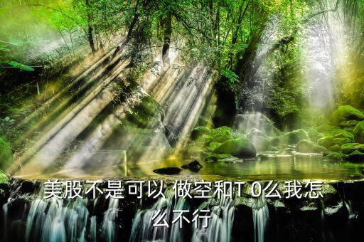 美股可以做空是怎么回事,美國裸賣空對股價產生劇烈的影響