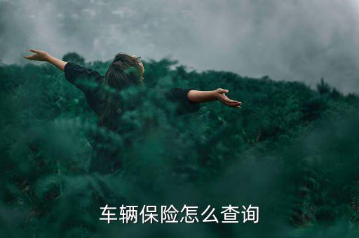 怎么差車(chē)險(xiǎn),國(guó)人可通過(guò)電話查詢(xún)汽車(chē)保險(xiǎn)情況
