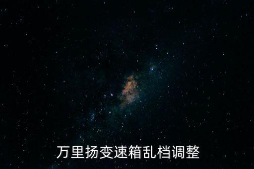  萬里揚變速箱亂檔調整