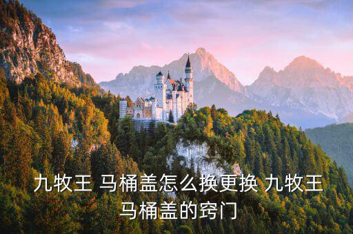  九牧王 馬桶蓋怎么換更換 九牧王 馬桶蓋的竅門(mén)