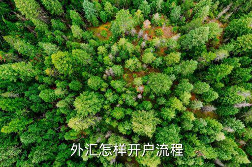 怎么開(kāi)通外匯,中國(guó)銀行借記卡外匯開(kāi)戶(hù)流程如下