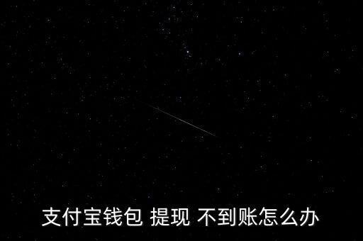 支付寶錢(qián)包 提現(xiàn) 不到賬怎么辦