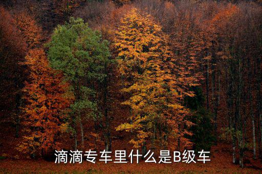  滴滴專車里什么是B級車