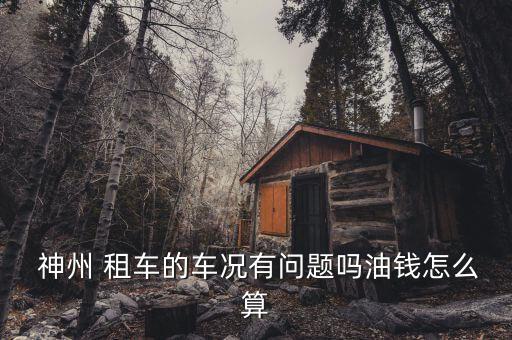  神州 租車的車況有問(wèn)題嗎油錢怎么算