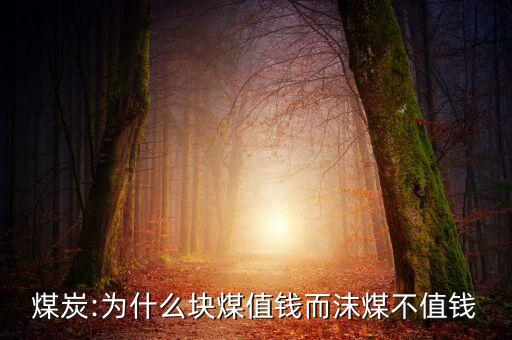 煤炭:為什么塊煤值錢(qián)而沫煤不值錢(qián)