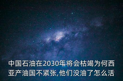 中國(guó)石油在2030年將會(huì)枯竭為何西亞產(chǎn)油國(guó)不緊張,他們沒油了怎么活