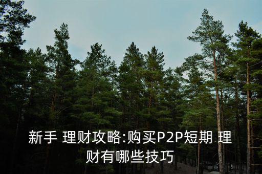 新手 理財(cái)攻略:購(gòu)買(mǎi)P2P短期 理財(cái)有哪些技巧